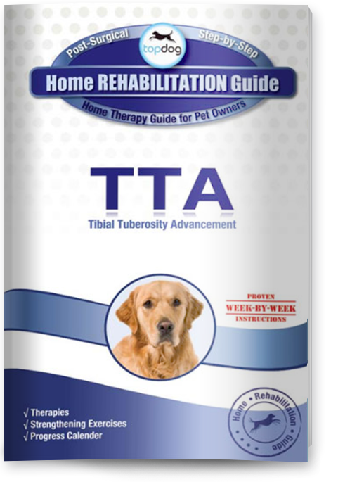 TTA Guide cover