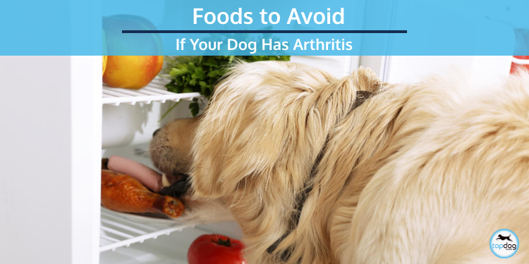 Avoid If Your Dog Has Arthritis 