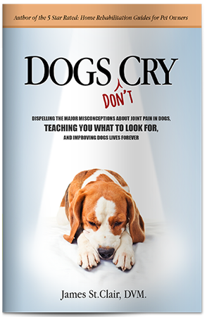 Dogs Don't Cry Booklet
