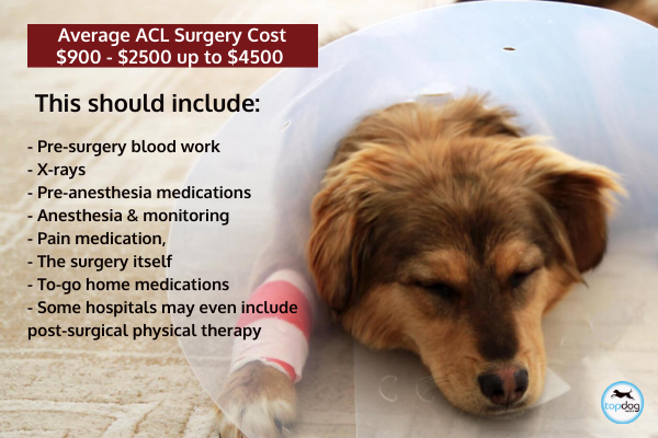 best joint supplement for dogs after acl surgery
